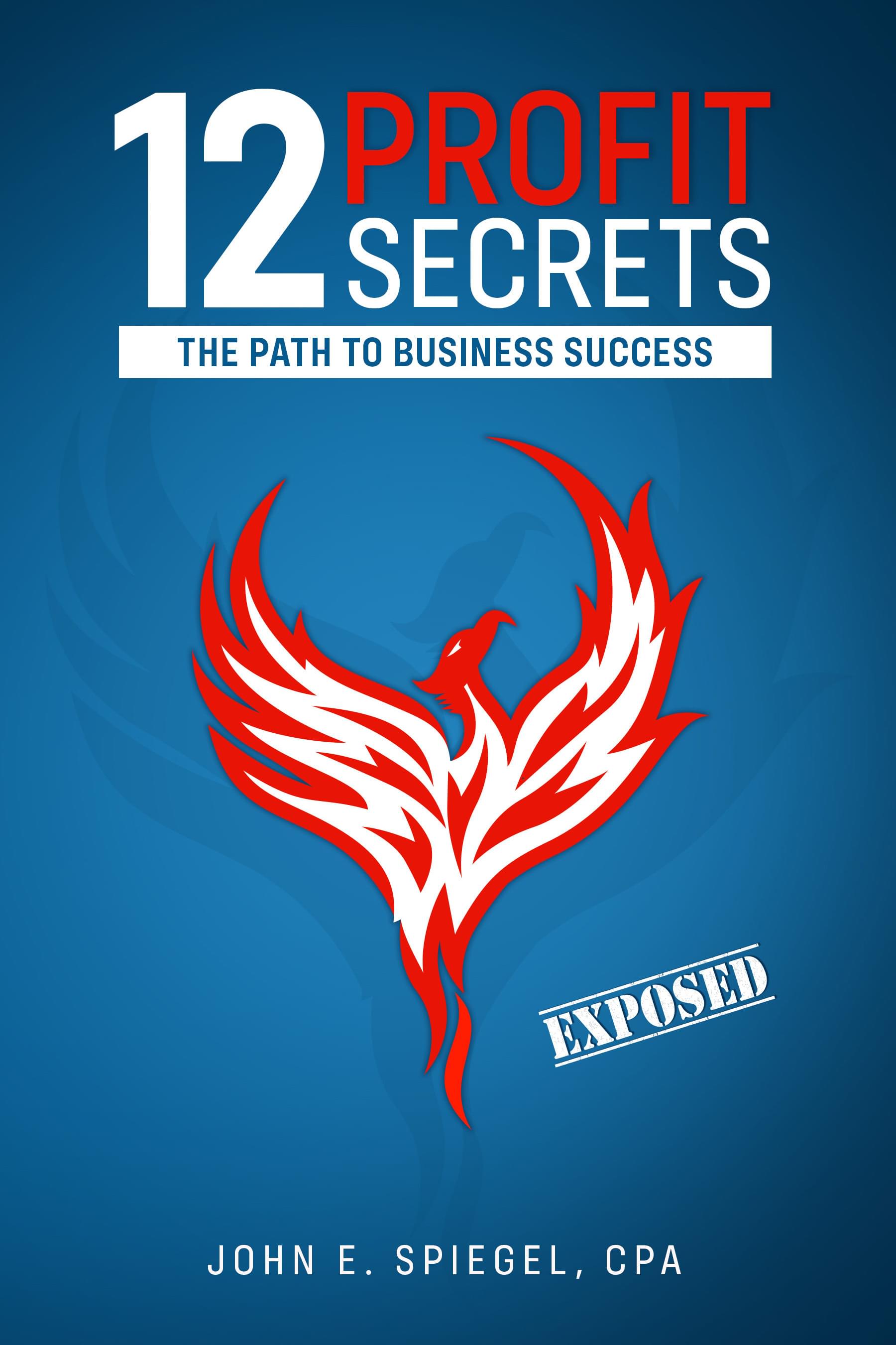 12 Profit Secrets: The Path to Business Success